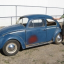 Rusty's 62 beetle